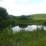 eugen-m_20130630_140200.jpg