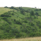 katka-f_DSCF7511.JPG