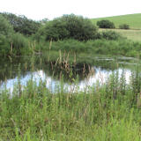 roman-s_DSC01287.JPG