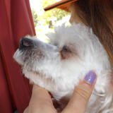 katka-f_DSCF7553.JPG
