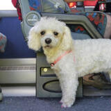 miso-f_P1030300.JPG