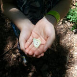 eugen-m_20130702_125845.jpg