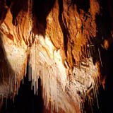 miso-f_P1020726.JPG