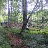 eugenm-DSC_0236.JPG