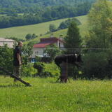 palec-OLY60607.JPG
