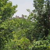OLY50727.JPG