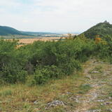 OLY50739.JPG