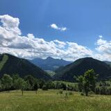 IMG-20200703-WA0043.jpg