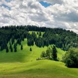 IMG-20200703-WA0110.jpg