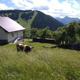 IMG-20200703-WA0024.jpg
