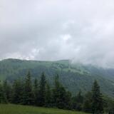 IMG-20200703-WA0045.jpg