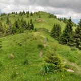 IMG-20200703-WA0131.jpg