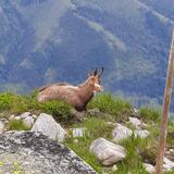 IMG-20200703-WA0137.jpg