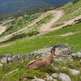 IMG-20200703-WA0139.jpg