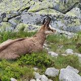IMG-20200703-WA0140.jpg
