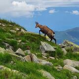 IMG-20200703-WA0144.jpg