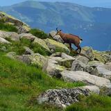 IMG-20200703-WA0147.jpg