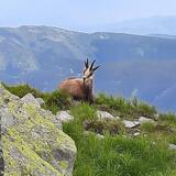 IMG-20200703-WA0157.jpg