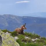 IMG-20200703-WA0158.jpg