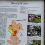 IMG-20200704-WA0003.jpg