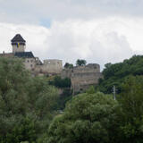 2021-07-01 - DSC05897.jpg