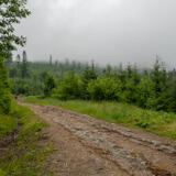 2021-07-02 - DSC05910.jpg