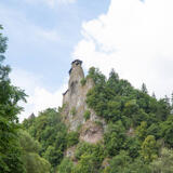 2021-07-03 - DSC05955.jpg