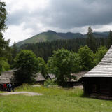 2021-07-03 - DSC05988.jpg