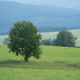 2021-07-03 - DSC06011.jpg