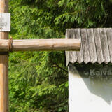 2021-07-03 - DSC06029.jpg