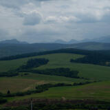2021-07-04 - DSC06142.jpg