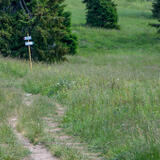 2022-07-04 - DSC09471.jpg