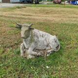 IMG_20230701_110051.jpg