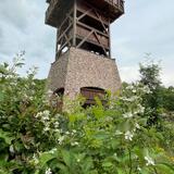 IMG-20230702-WA0016.jpg