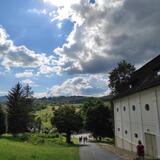 IMG_20230702_162827.jpg