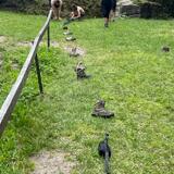 IMG-20230703-WA0030.jpg