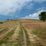 03-07-2023 - DSC09980.jpg