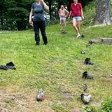 IMG-20230703-WA0050.jpg