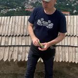 IMG-20230703-WA0087.jpg