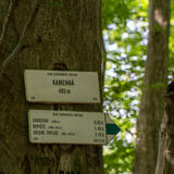 04-07-2023 - DSC00032.jpg