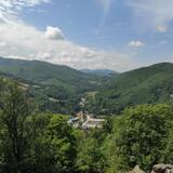 IMG_20230704_110358.jpg
