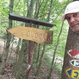 IMG_20230704_115134.jpg