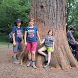 IMG-20230704-WA0032.jpg