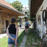 IMG_0858.JPG
