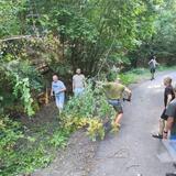 IMG-20230705-WA0047.jpg