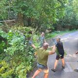 IMG-20230705-WA0048.jpg