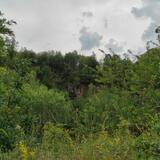IMG_20230706_095440.jpg