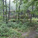IMG_20230706_103144.jpg
