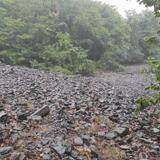 IMG_20230706_110855.jpg