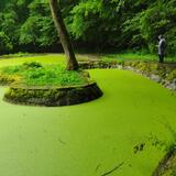 IMG_20230706_123446.jpg